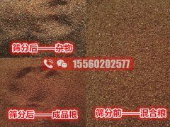 清除海藻籽里面的小石子用啥機器比較好？海藻籽篩分機